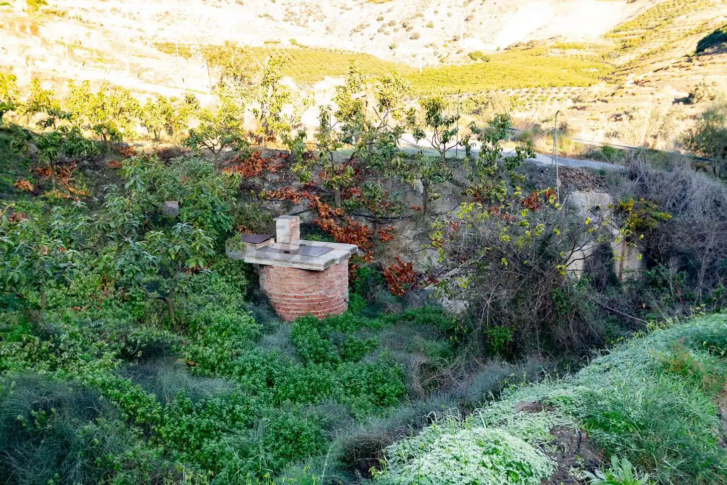 Terreno rústico en venta en Avda Pescia - Ctra de Frigiliana, imagen 7