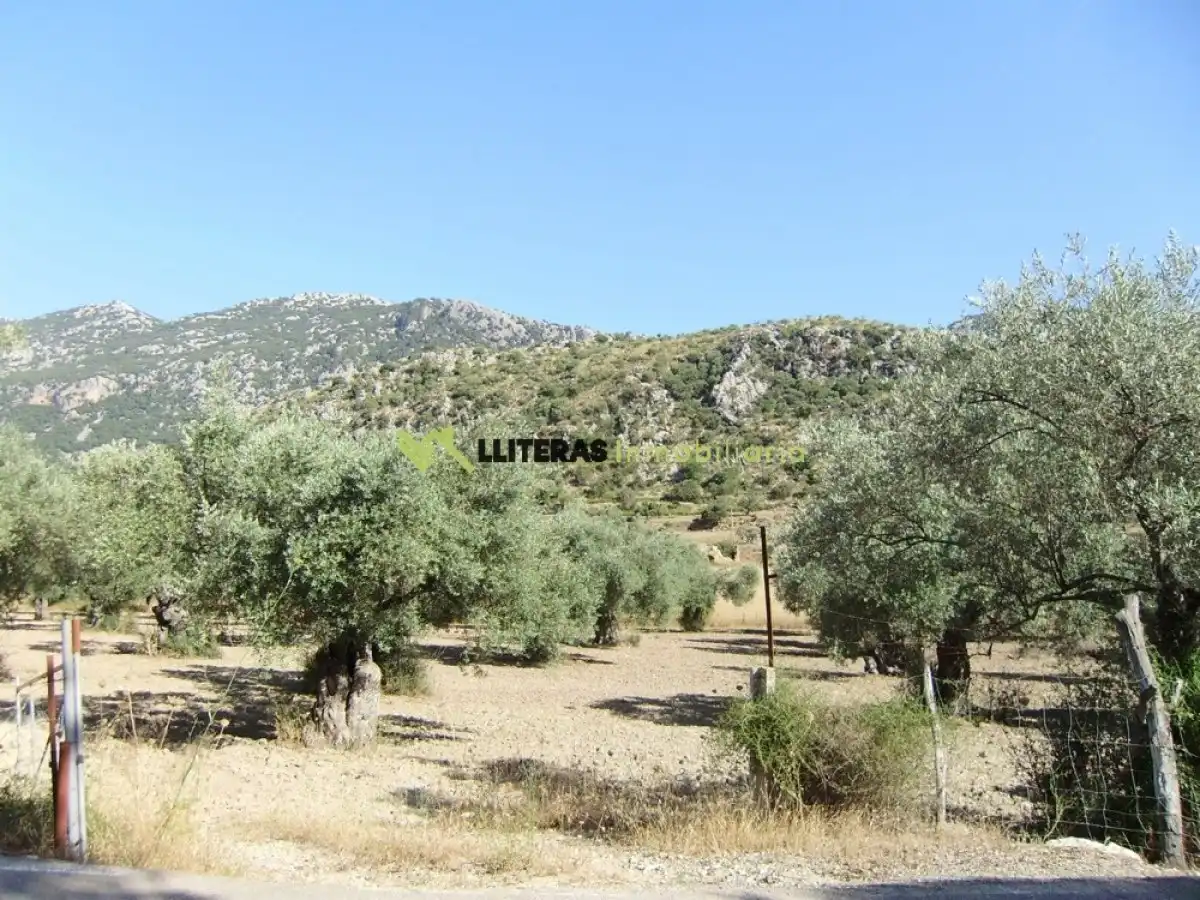 Country house for sale in Bunyola, imagen 11
