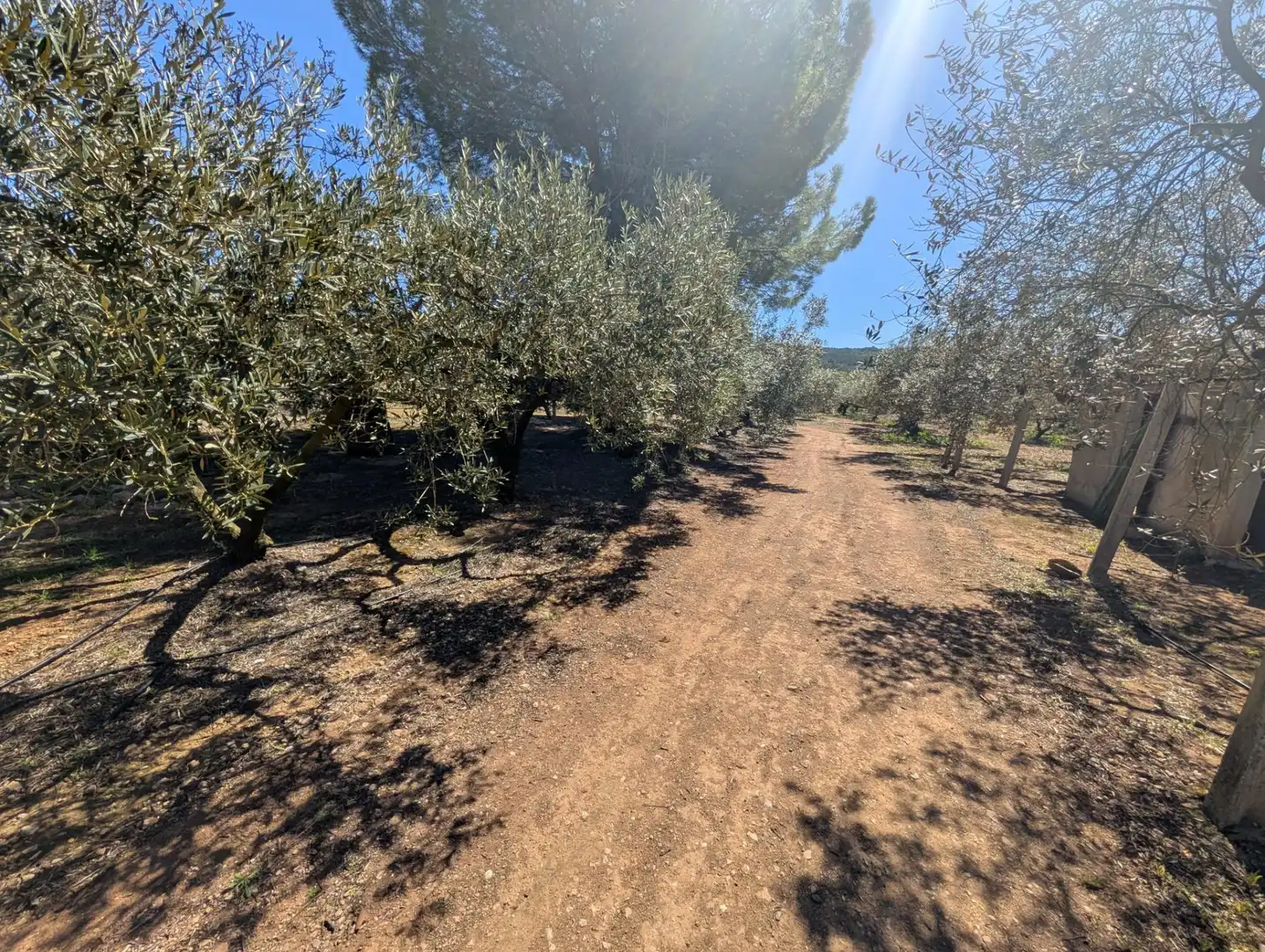 Grundstücke zum Verkauf in Ulldecona