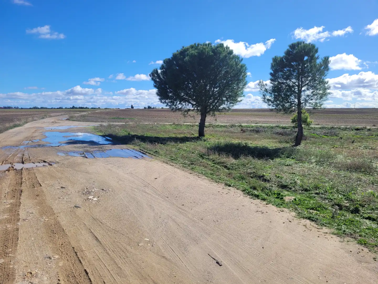 Rural land for sale in Santo Domingo-Caudilla, imagen 6