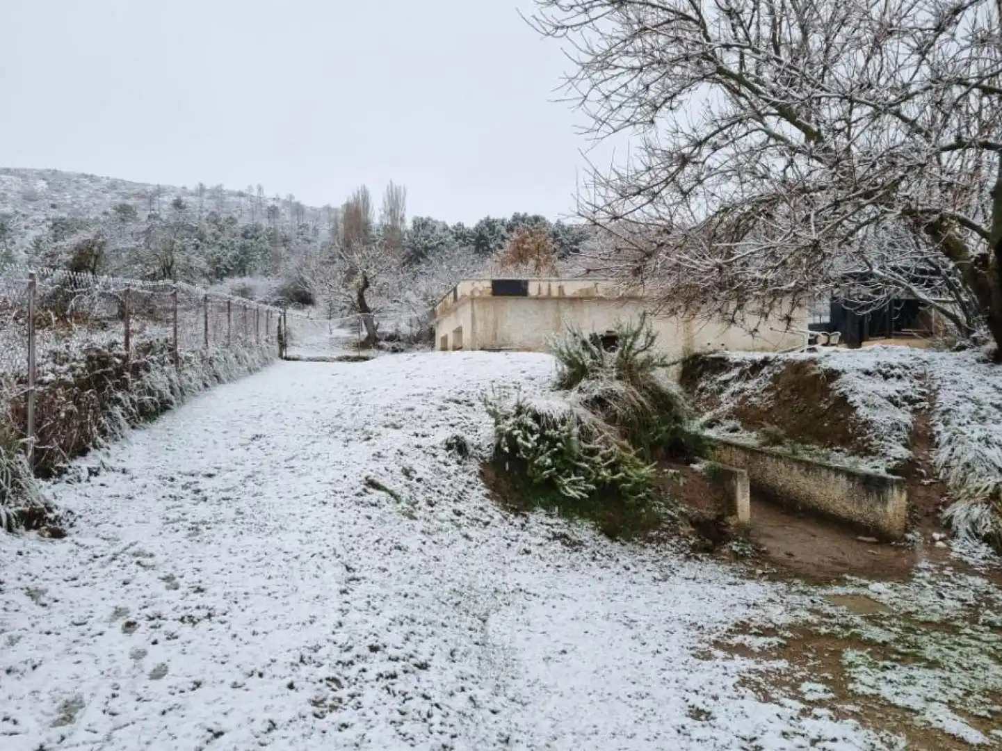 Jardín de Casa o chalet en venta en Riópar con Calefacción, Trastero y Amueblado