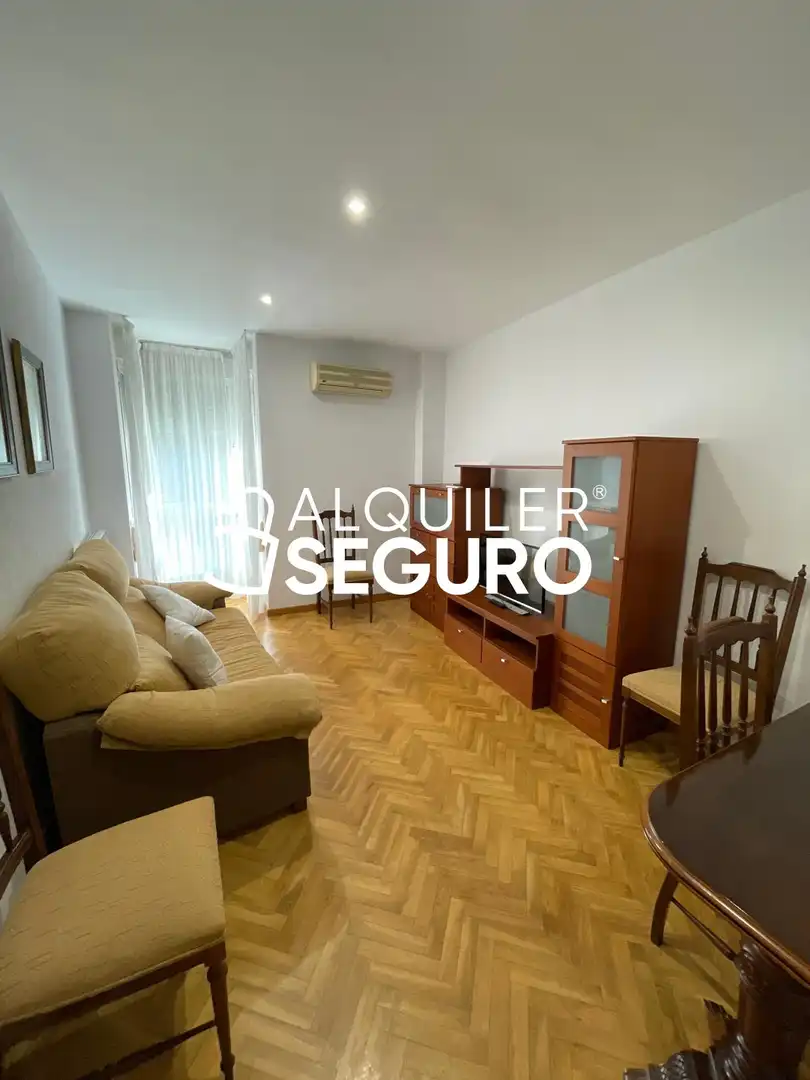 Living room of Flat for rent in Madrid  with Air Conditioner, Heating and Terrace