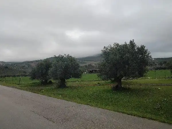 Rustikales Grundstück zum Verkauf in Puerto Serrano, imagen 10