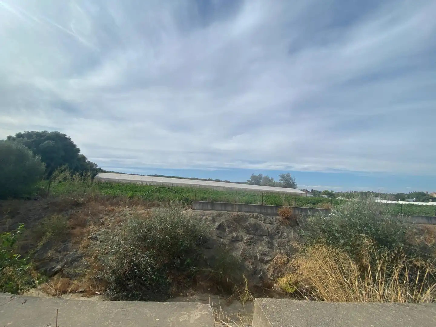 Terreno rustico in vendita a Barbate ciudad, imagen 10