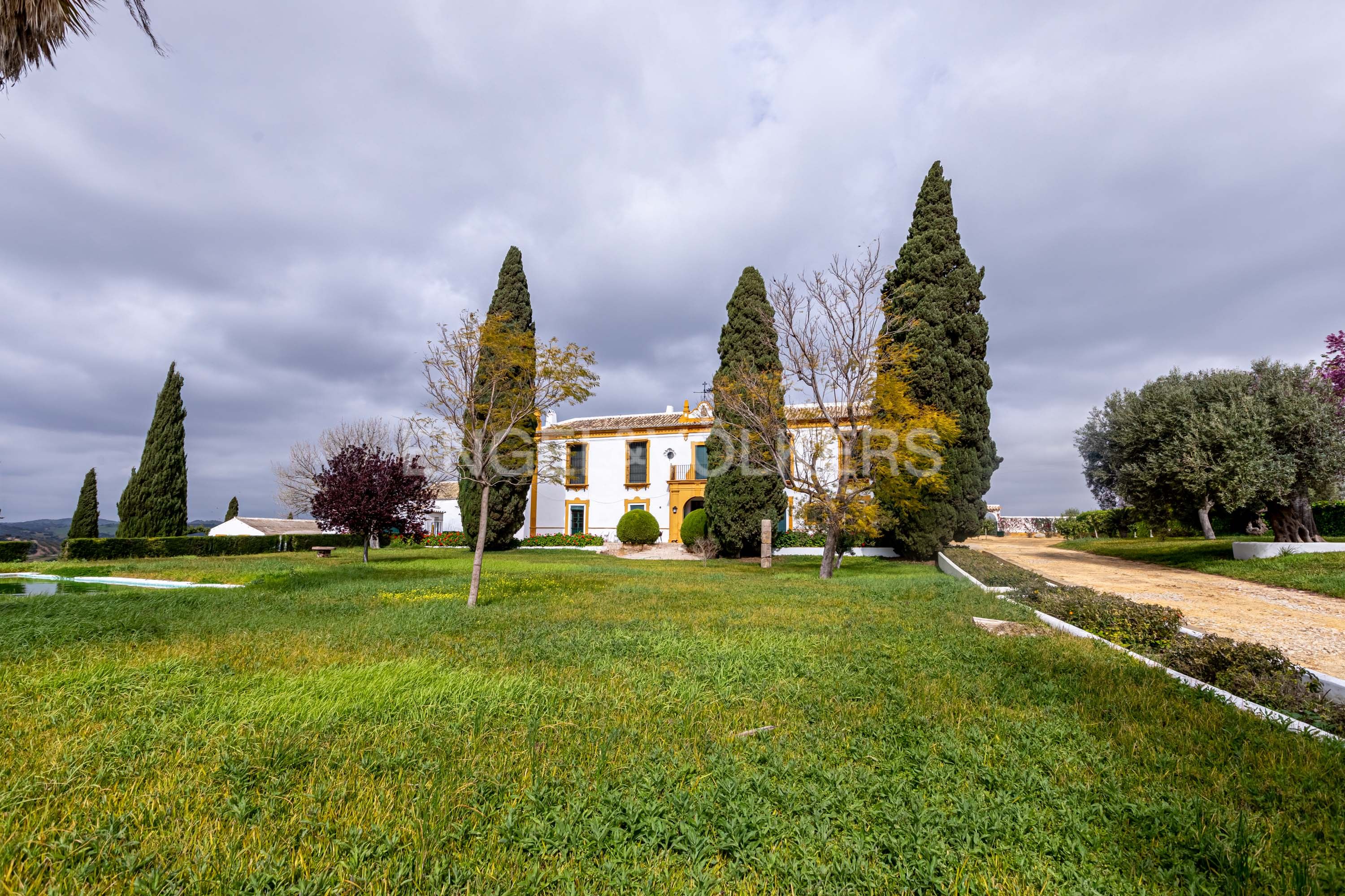 Exterior view of House or chalet for sale in Morón de la Frontera  with Heating, Private garden and Terrace