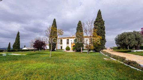 Foto 3 de Casa o chalet en venta en Morón de la Frontera, Sevilla
