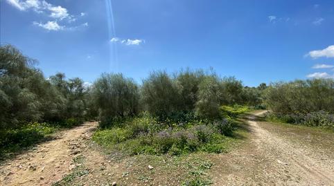 Foto 4 de Residencial en venda a Polígono 8, El Juncal - Vallealto, Cádiz