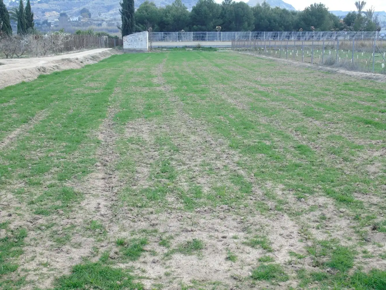 Grundstücke und Bauplätze zum Verkauf in Lorquí