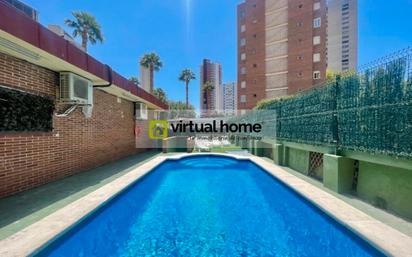 Swimming pool of Apartment for sale in Benidorm  with Terrace