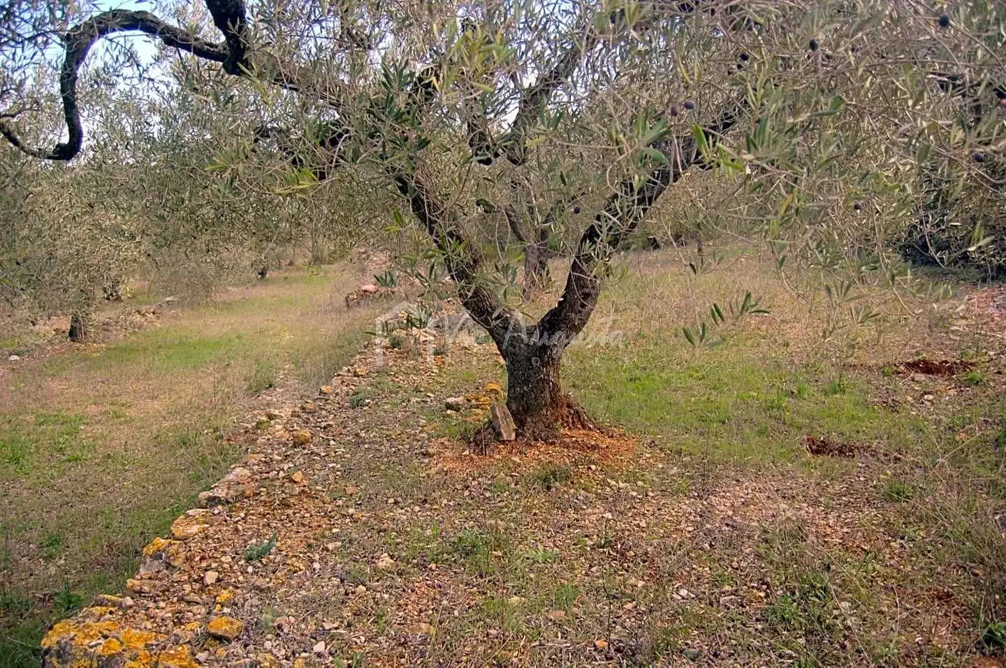 Terreno rustico in vendita a Burgar, imagen 16