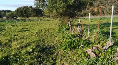 Parcela Rústica en Naveros a pie de carretera., imatge 3