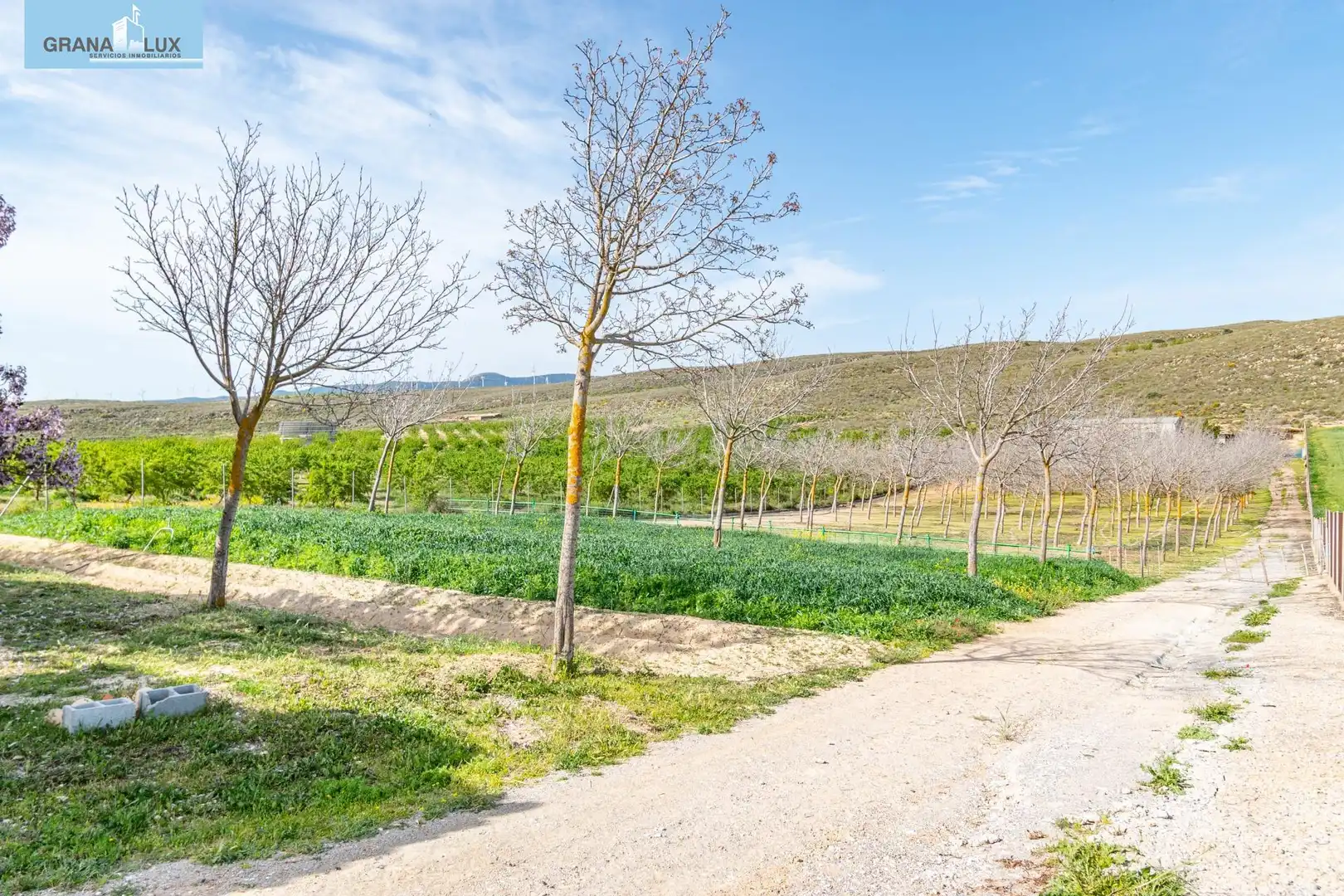 Rural land for sale in 18640, imagen 34