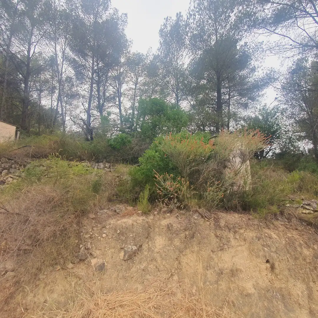 Terreno rústico en venta en Benifallet, imagen 14