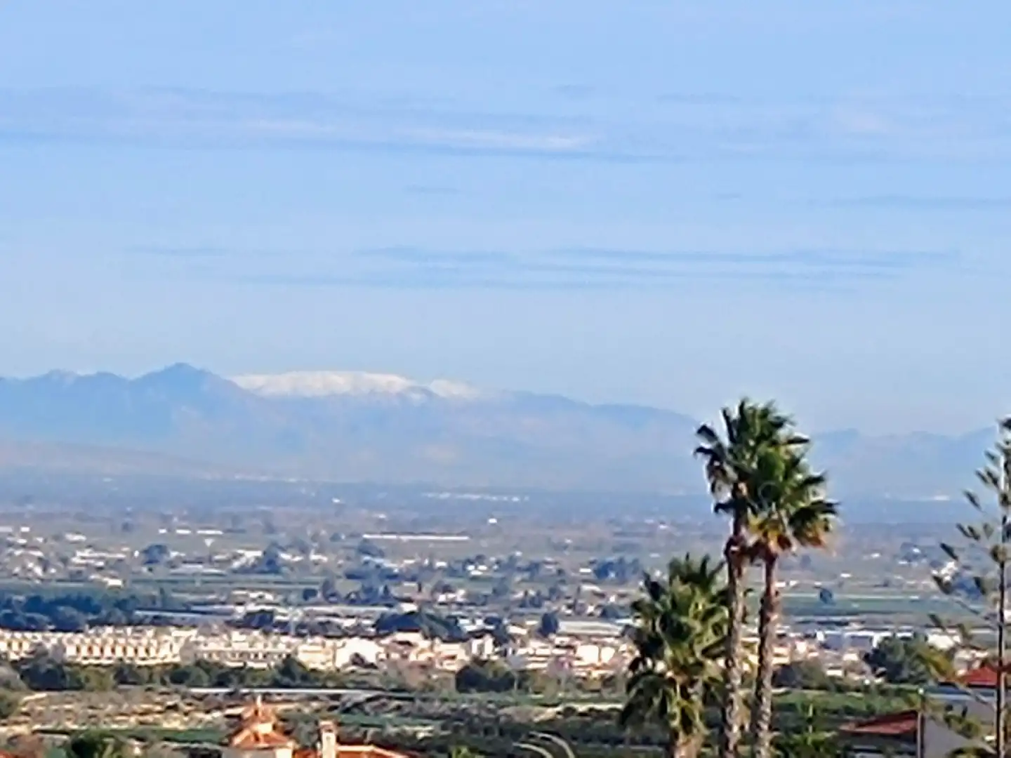 Casa in vendita a Algorfa, imagen 45