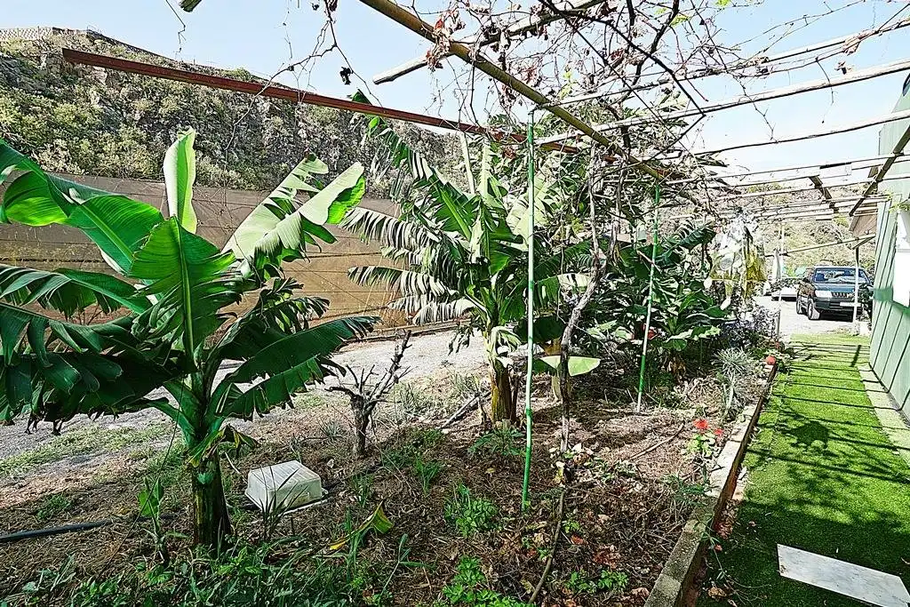 Finca rústica en venta en Camino DEHESA, 10, Santa María de Guía de Gran Canaria