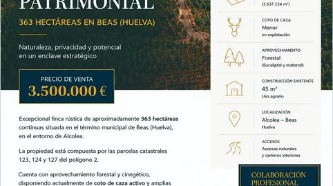 FINCA RÚSTICA DE 363 HECTÁREAS EN BEAS HUELVA