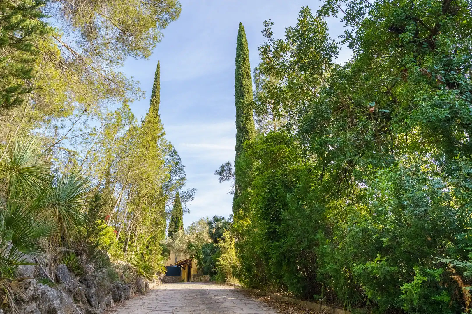 Exterior view of Houses for sale in Olivella  with Terrace