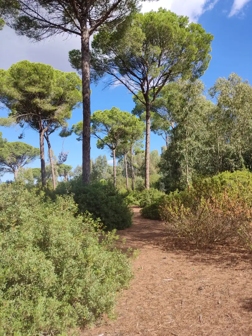 Terreni e lotti in vendita a Las Lagunas - Campano, imagen 10