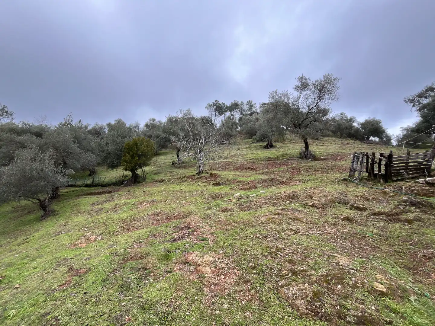Terrenys i solars en venda a Camino de la sierra 15 15, imagen 5