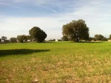 Rustikales Grundstück zum Verkauf in Avenida Avenida Mariana Pineda, imagen 4
