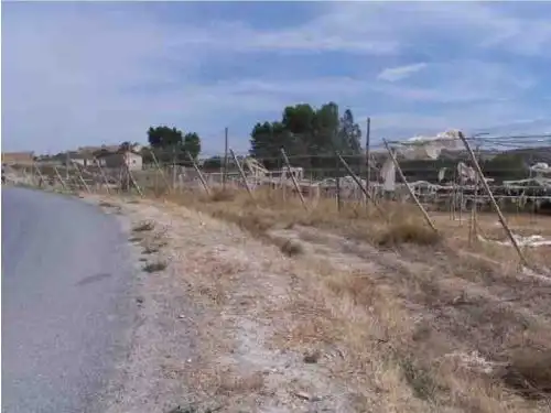 Terreno en venta en Cortes de Baza