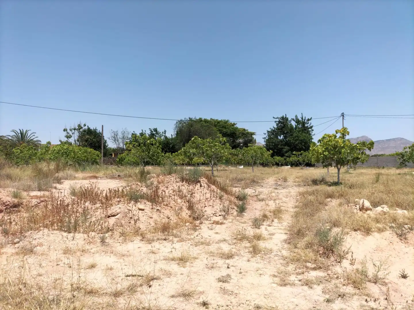 Rural land for sale in La Murada - Los Vicentes, imagen 25