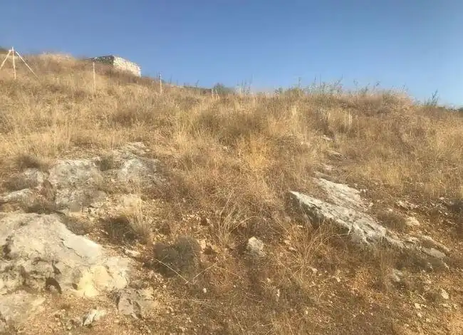Terreno rustico in vendita a El Molar (Madrid)
