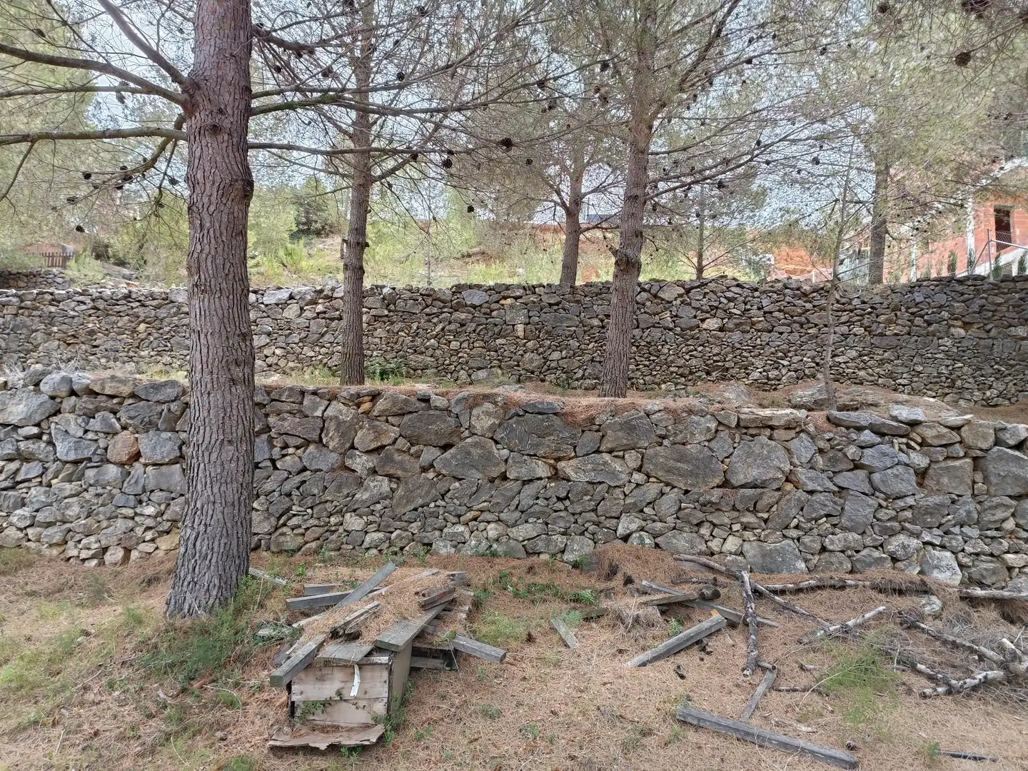 Lands and plots for sale in Borriol, imagen 8