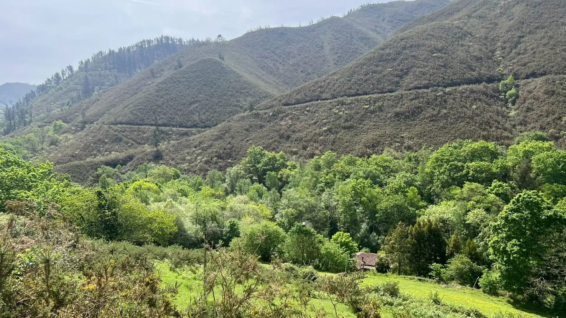 Casa o xalet en venda en Cangas de Onís amb Jardí privat