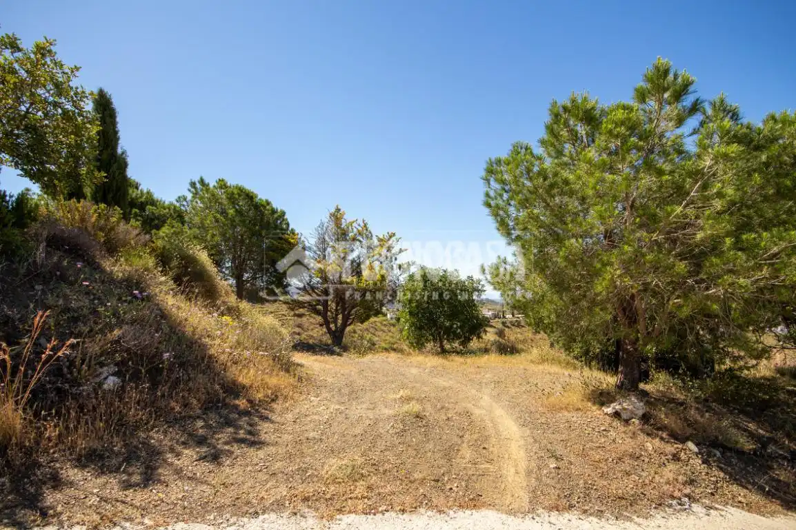 Casa rústica en venta en Canillas de Aceituno, imagen 34
