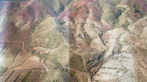 FINCA EN EL CONSEJERO DE APROX 25 HECTAREAS CON CASA PARA ENTRAR A VIVIR