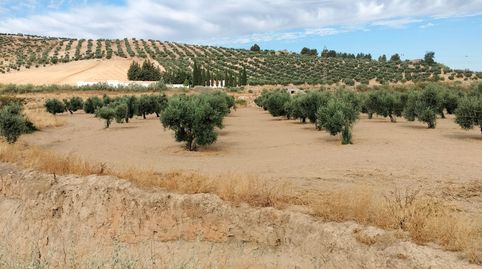 Finca en La Malaha, immagine 2