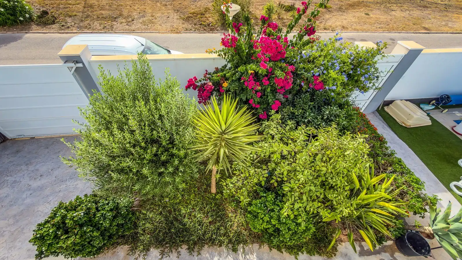Jardí de Casa o xalet en venda en Torrevieja amb Jardí privat, Terrassa i Traster