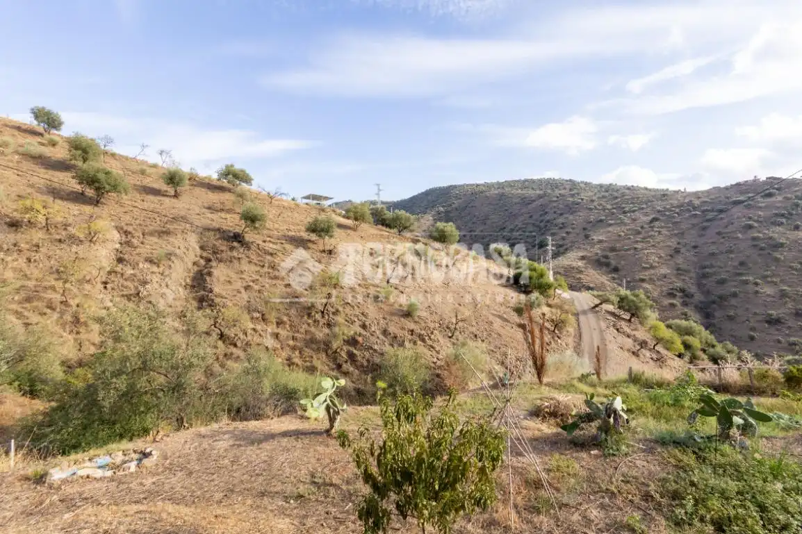 Country house for sale in Canillas de Aceituno, imagen 42