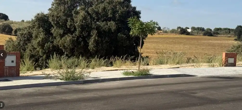 Lands and plots for sale in Fuente Montes 1, imagen 2