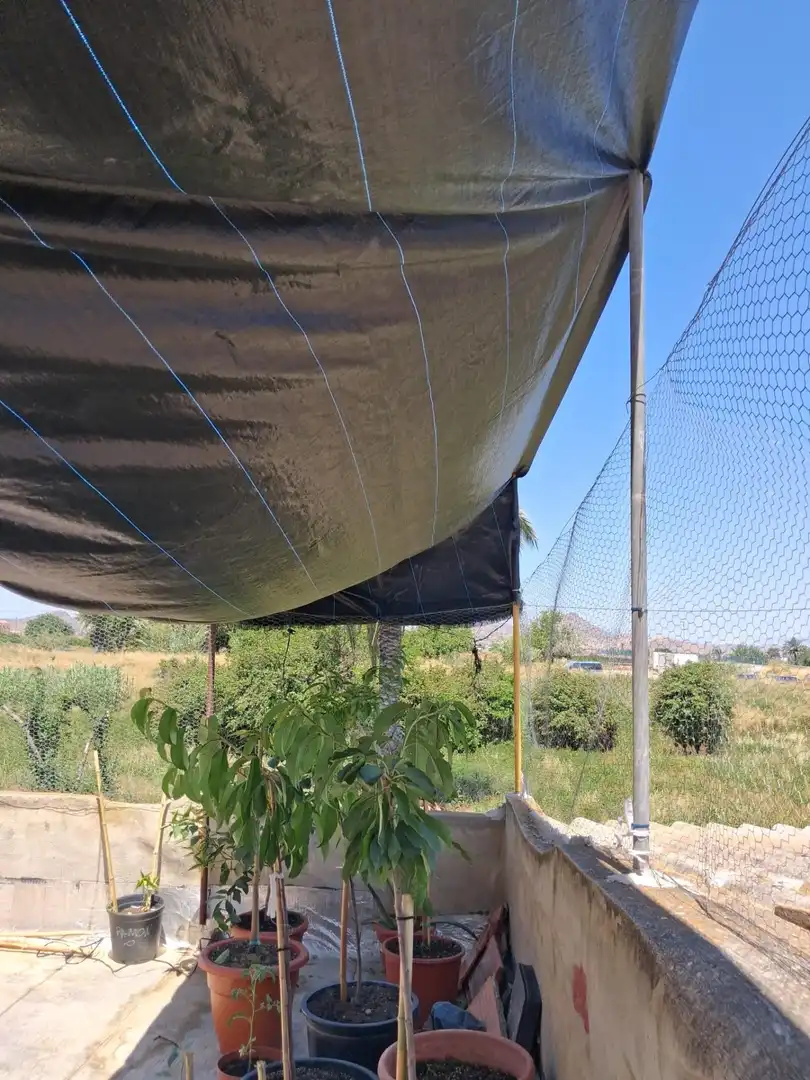 Garden of Houses for sale in Murcia  with Terrace, Storage room and Furnished
