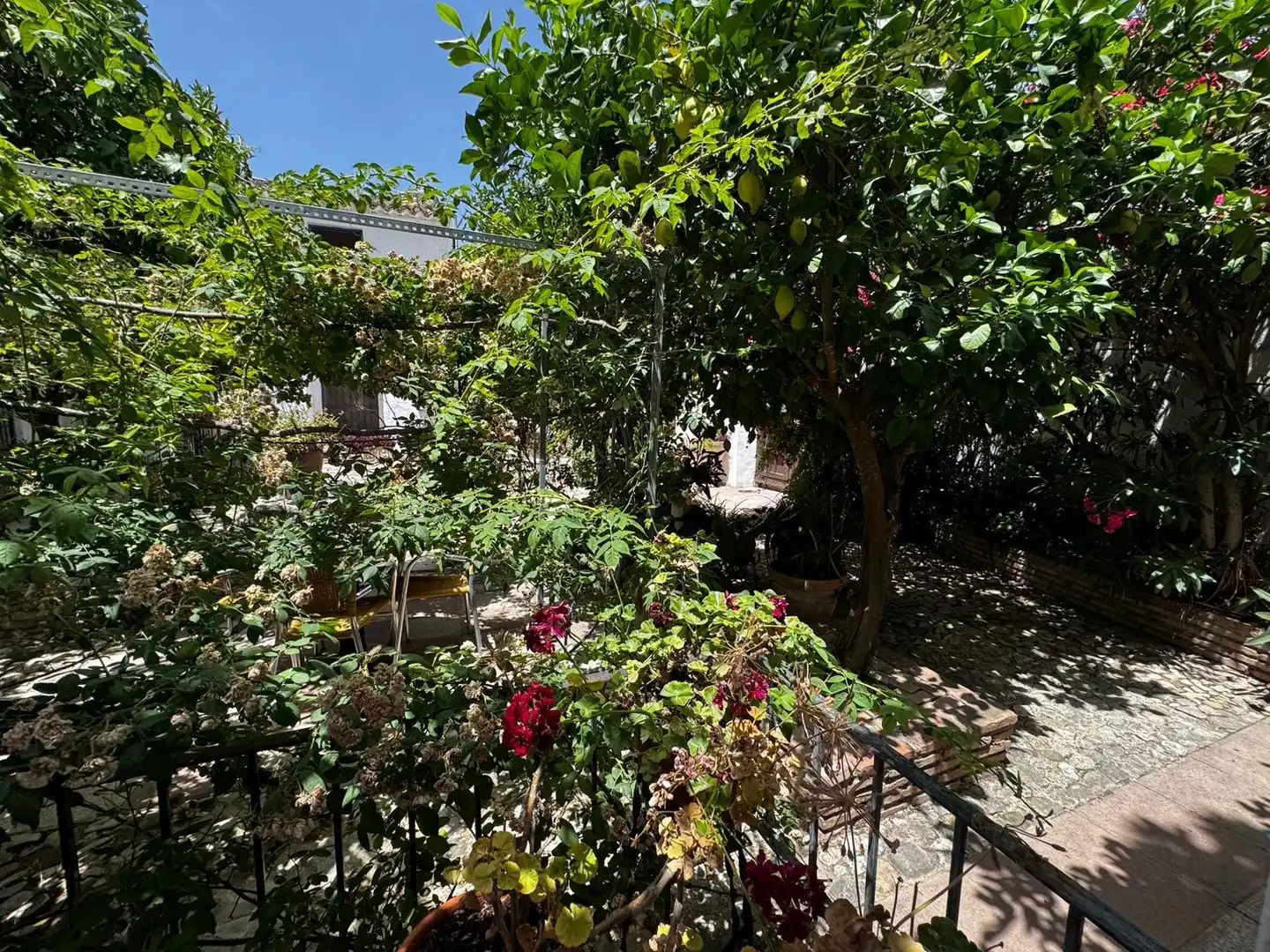 Garden of Houses for sale in Fuente-Tójar  with Air Conditioner, Heating and Private garden