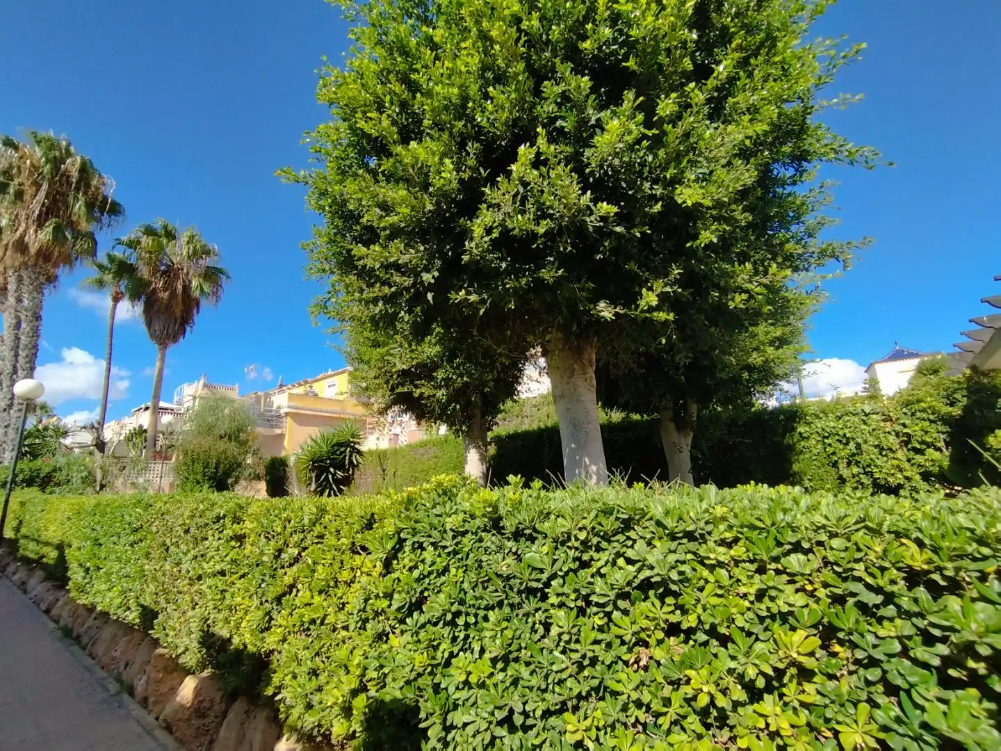 Vista exterior de Casa adosada en venda en Torrevieja amb Aire condicionat, Calefacció i Jardí privat