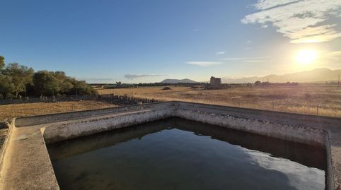Foto 5 de Finca rústica en venta en Muro, Illes Balears