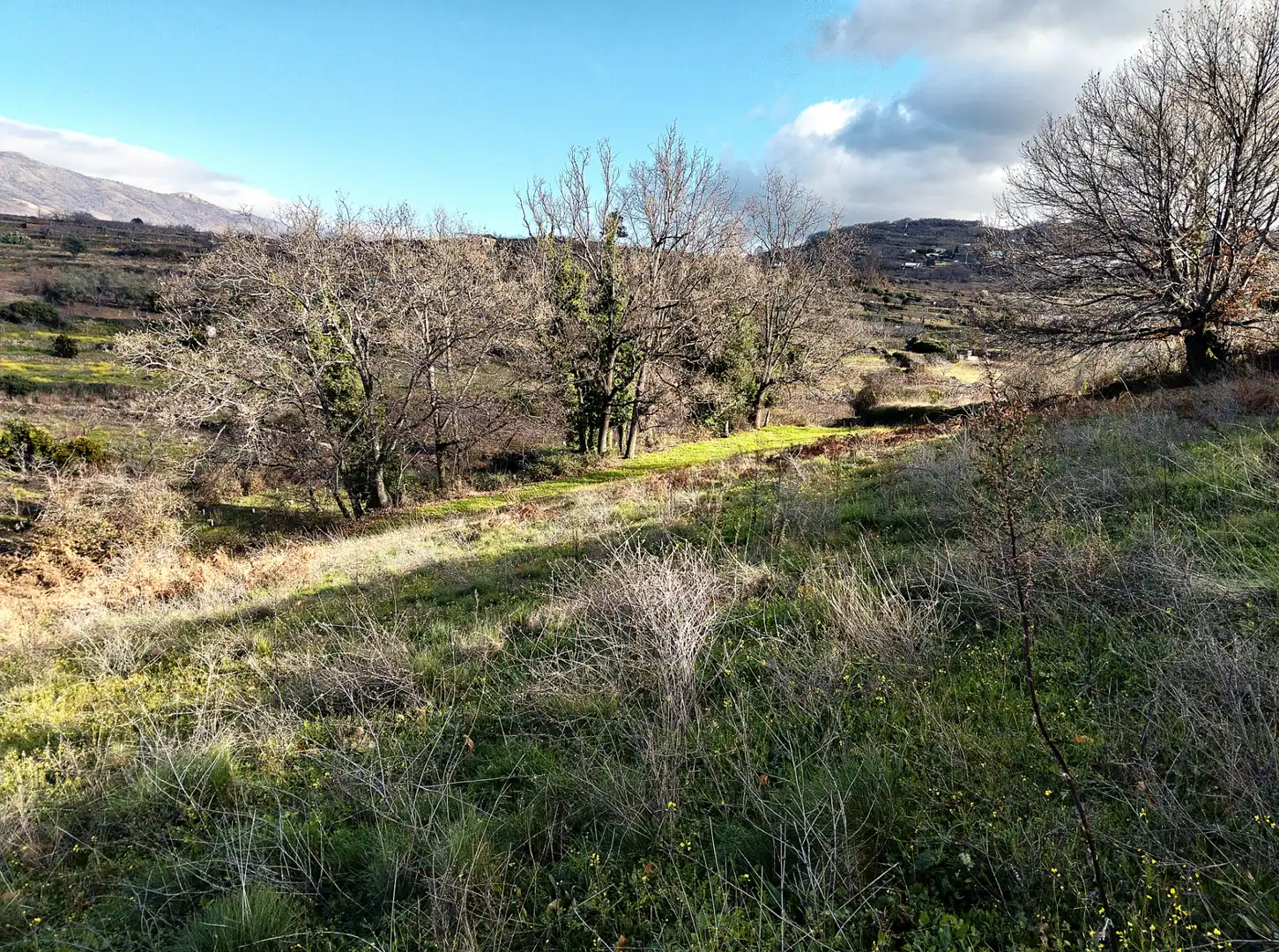 Land for sale in Casas del Castañar