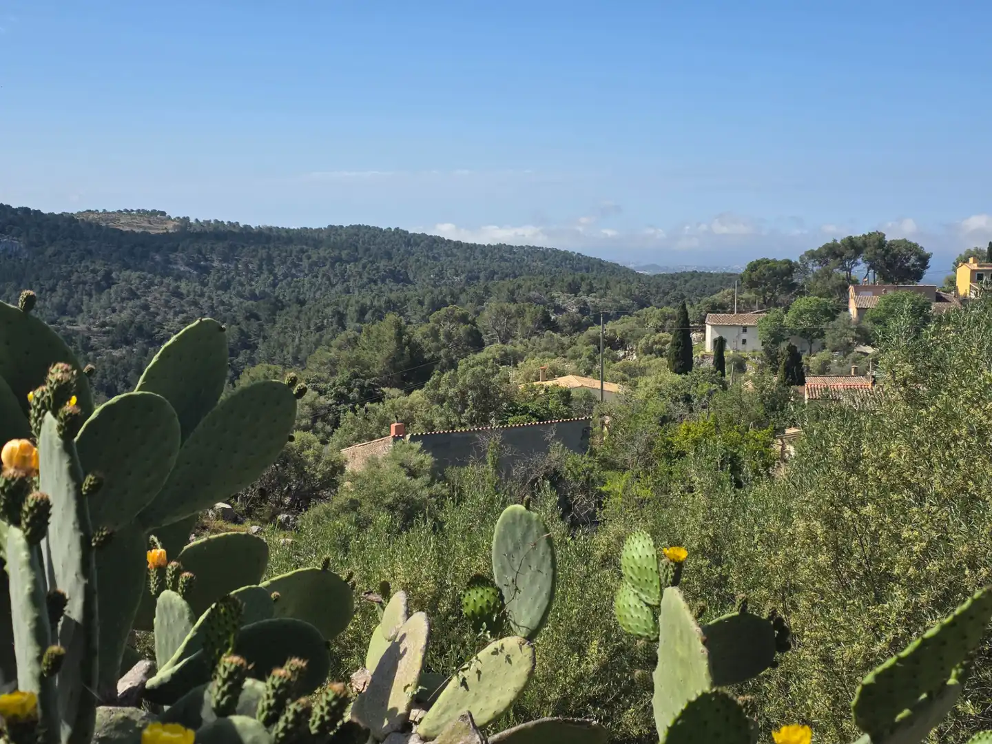 Jardín de Casa o chalet en venta en Puigpunyent con Jardín privado