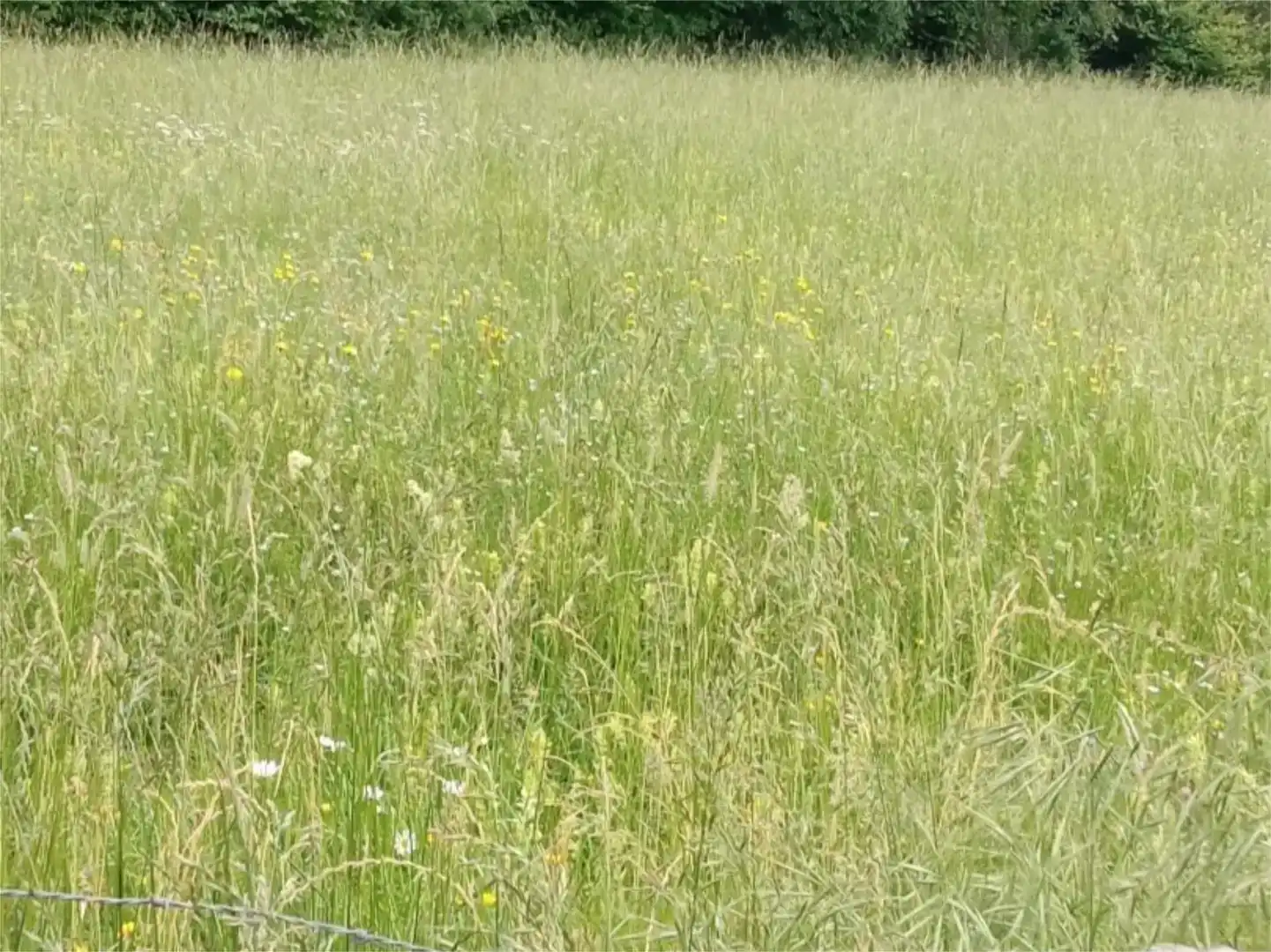 Terreno en venta en Bakaiku, Navarra