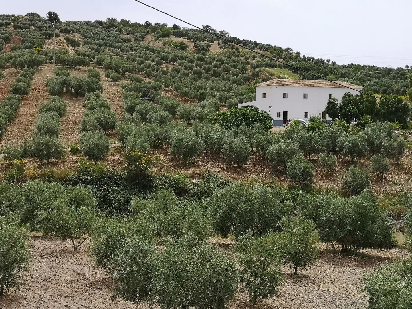 Jardí de Finca rústica en venda en Antequera amb Traster