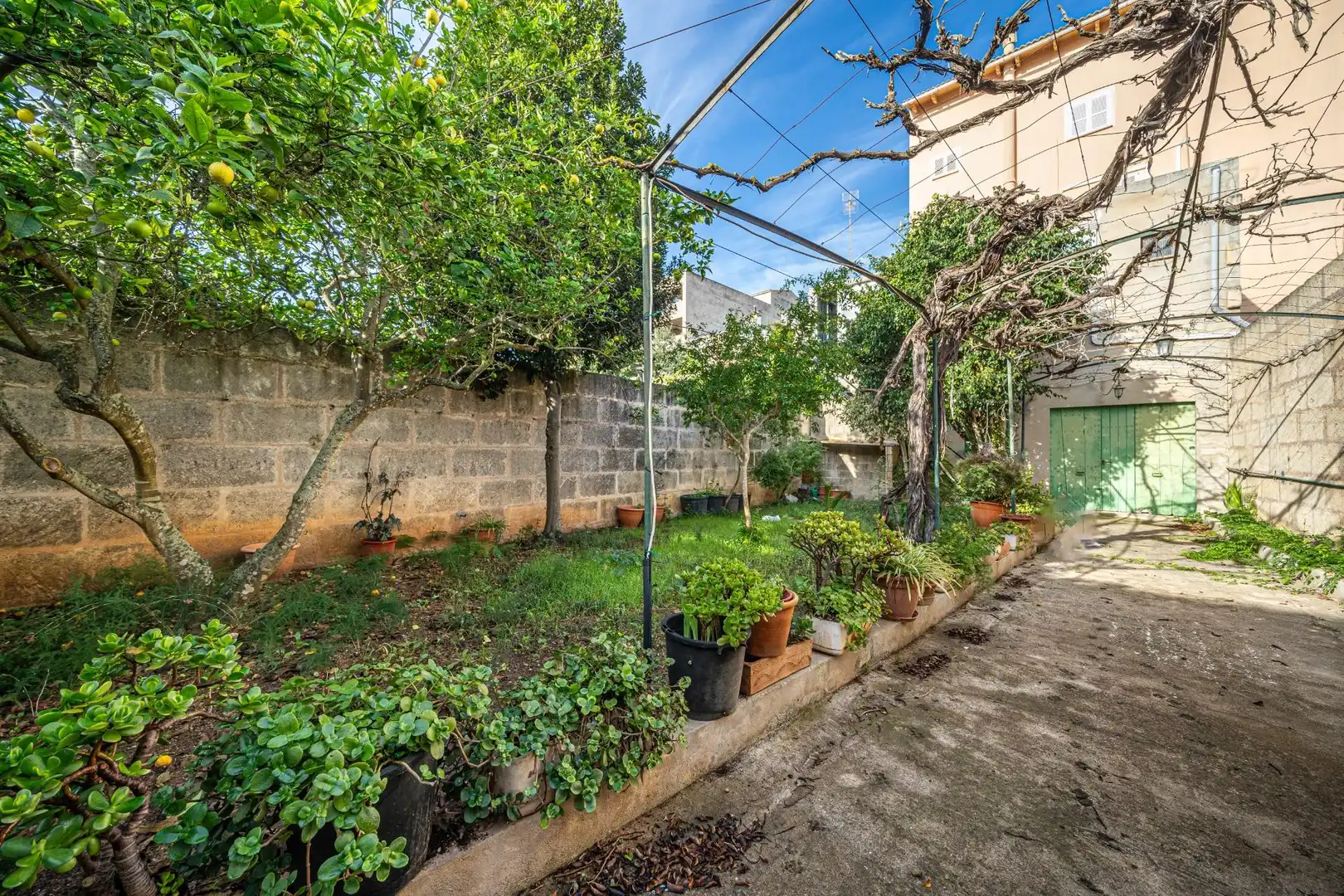 Jardí de Casa o xalet en venda en Santa Margalida amb Aire condicionat, Calefacció i Jardí privat
