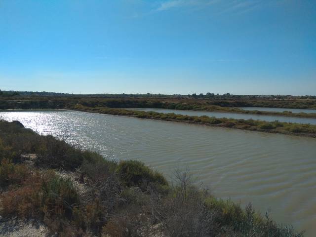 Terreno en Venta en Villanueva Golf