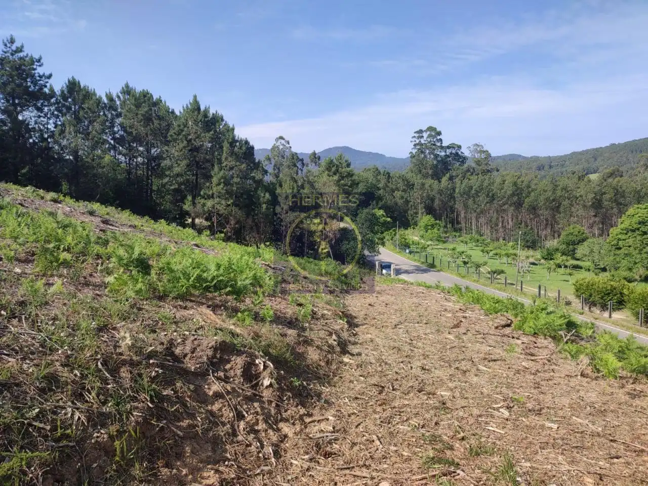 Land for sale in Tui
