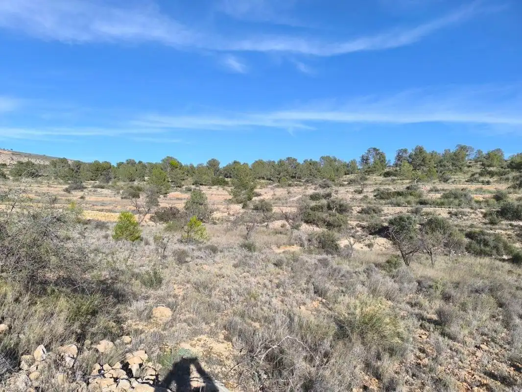 Rural land for sale in C-3320, imagen 5