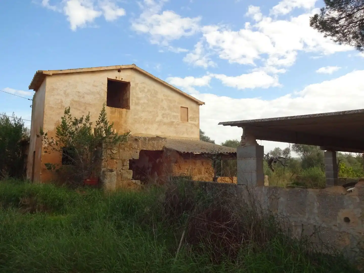 Vista exterior de Finca rústica en venta en  Palma de Mallorca