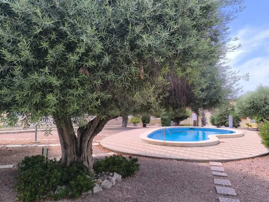 Houses for rent in Lugar la MARINA-3, La Marina