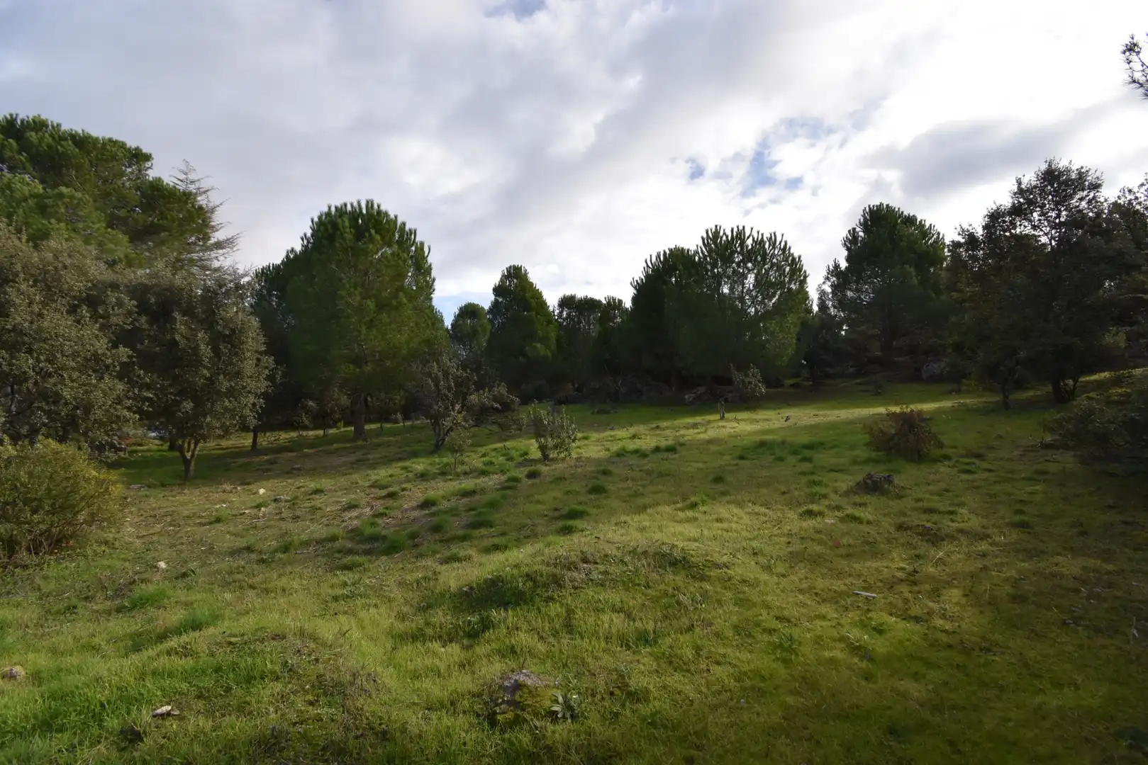 Wohnbaugrundstück zum Verkauf in Avenida Sajonia, imagen 12